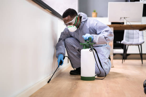 Best Residential Pest Control  in Scotts Valley, CA